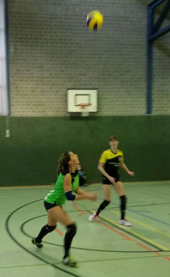 Der frühe Vogel ...