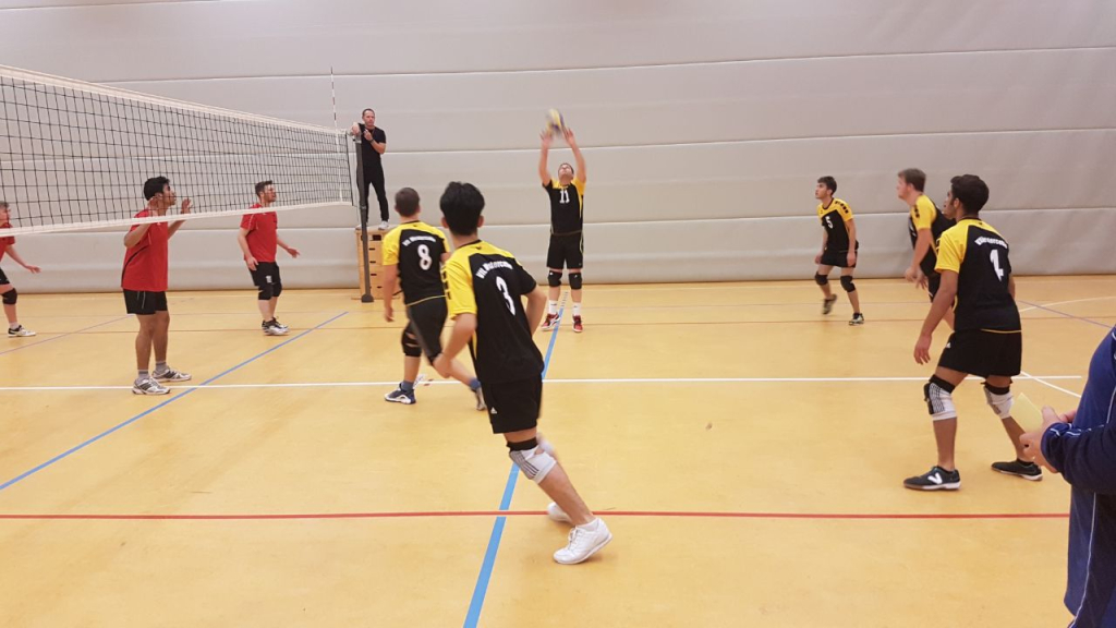 VfL Westercelle Herren Bild 3