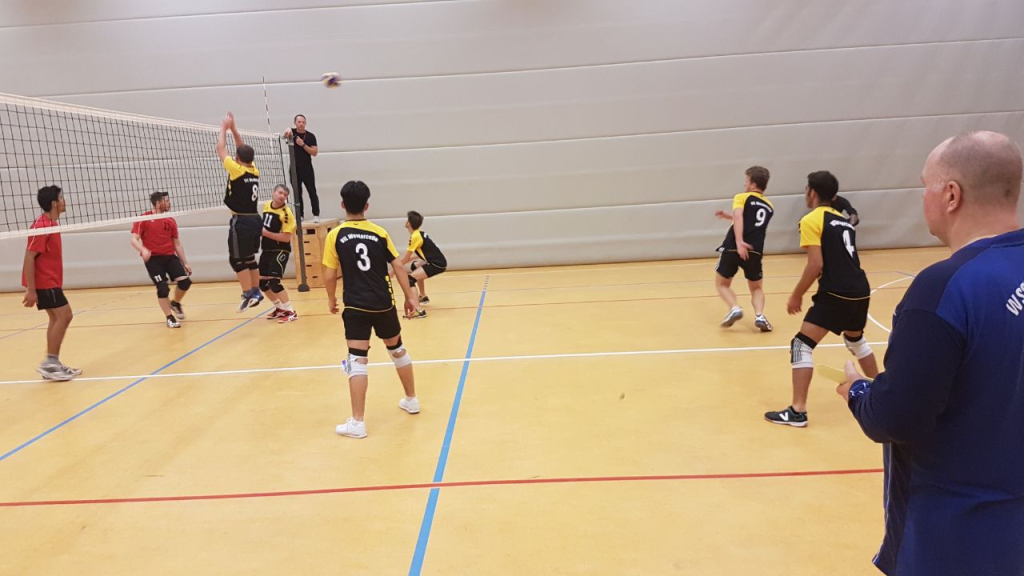 VfL Westercelle Herren Bild 4