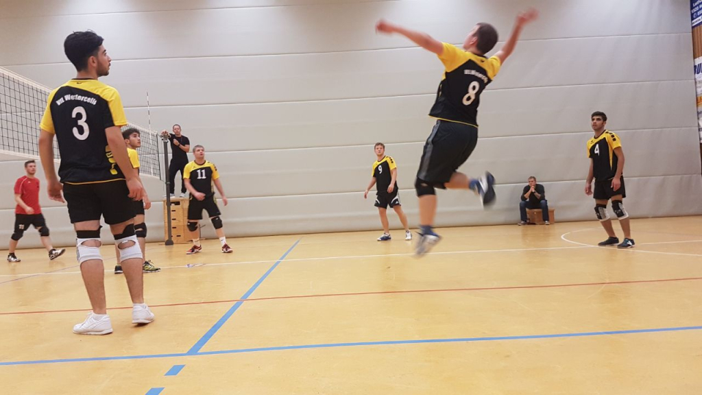 VfL Westercelle Herren Bild 7